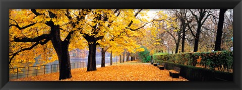 Framed Park Bavaria Munich Germany Print