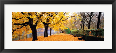 Framed Park Bavaria Munich Germany Print