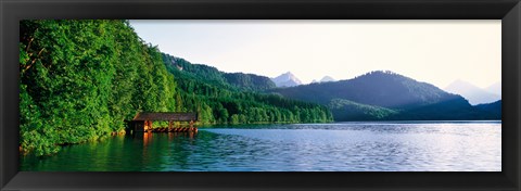 Framed Alp Lake Hohenschwangau Germany Print