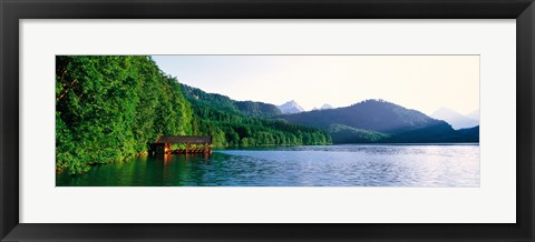 Framed Alp Lake Hohenschwangau Germany Print