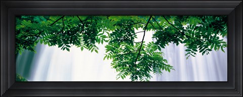 Framed Oirase ravine Choshi Falls Aomori Towadako-cho Japan Print