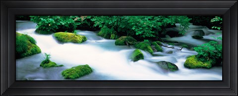 Framed Fog in Oirase ravine Aomori Towadako-cho Japan Print