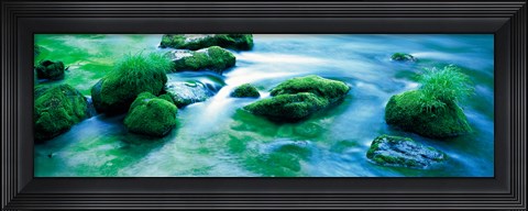 Framed Rocks with Moss, Oirase ravine Aomori Towadako-cho Japan Print