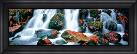 Framed Kibune River fall colors Kyoto Sagano Japan Print