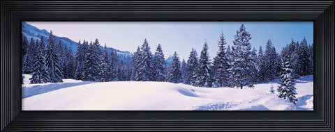Framed Snowy Field &amp; Trees Oberjoch Germany Print