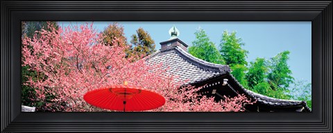 Framed Daikaku-Ji Kyoto Japan Print
