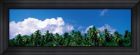 Framed Maldives with Clouds Print