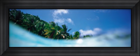 Framed Palau Island Print