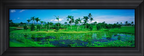 Framed Gold Coast NSW Australia Print