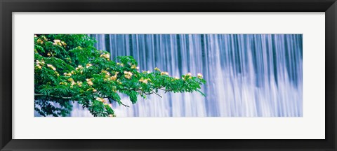 Framed Kamo River Kyoto Japan Print