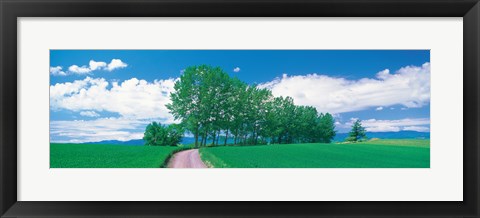 Framed Dirt Road through Fields, Biei-Cho Hokkaido Japan Print