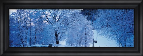 Framed Snow Covered Trees, Ramsau Germany Print