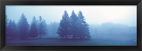 Framed Misty forest Quebec Canada Print