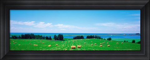 Framed Farm field Prince Isl Canada Print