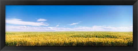 Framed Farm field Twin Falls ID USA Print