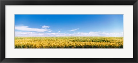 Framed Farm field Twin Falls ID USA Print