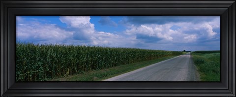 Framed Road along corn fields, Christian County, Illinois, USA Print