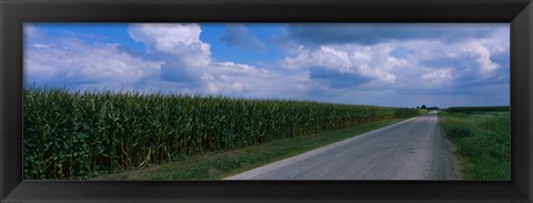 Framed Road along corn fields, Christian County, Illinois, USA Print