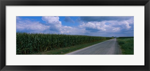 Framed Road along corn fields, Christian County, Illinois, USA Print