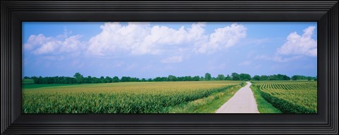 Framed Road along corn fields, Jo Daviess County, Illinois, USA Print