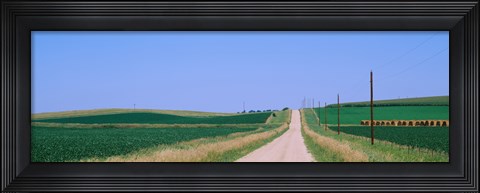 Framed Road along fields, Minnesota, USA Print
