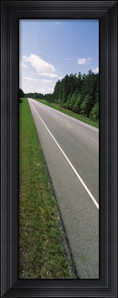 Framed Trees along the road, Alabama State Route 113, Alabama, USA Print