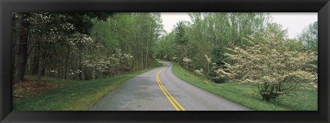 Framed Road passing through a landscape, Blue Ridge Parkway, Virginia, USA Print