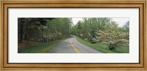 Framed Road passing through a landscape, Blue Ridge Parkway, Virginia, USA Print