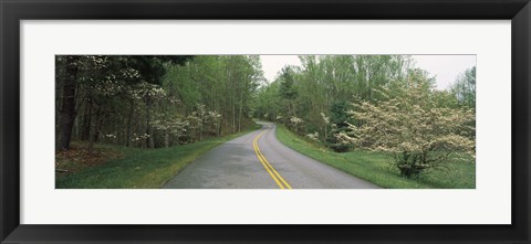 Framed Road passing through a landscape, Blue Ridge Parkway, Virginia, USA Print