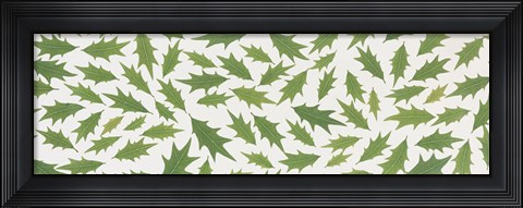 Framed Pattern of Hollies Print