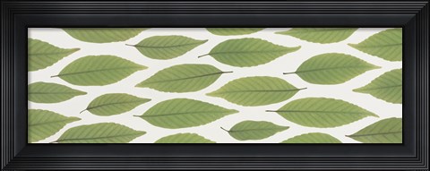 Framed Scattered leaves Print