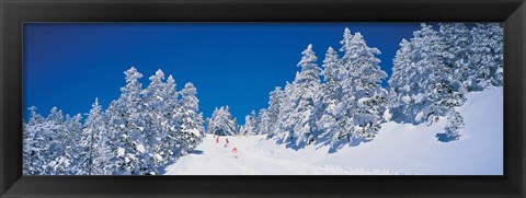 Framed Shiga Kogen Nagano Japan Print