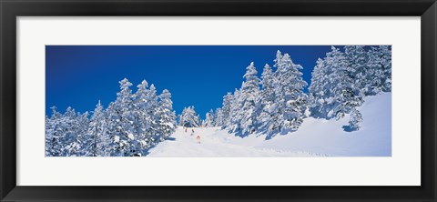 Framed Shiga Kogen Nagano Japan Print