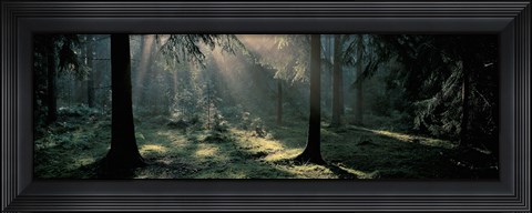 Framed Ekero Uppland Sweden Print