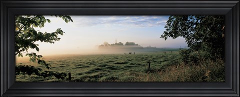 Framed Field with cows, Lovo Uppland Sweden Print