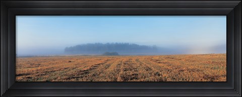 Framed Mist in Lovo Uppland Sweden Print