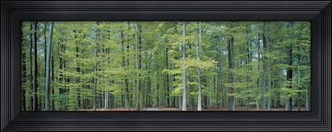 Framed Bruxelles Belgium Print