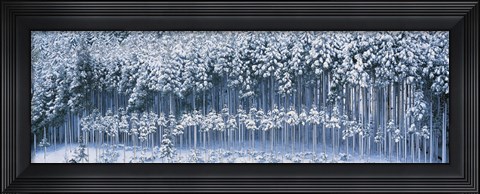 Framed Keihoku-Cho Kyoto Japan Print