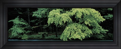 Framed Kamikochi Nagano Japan Print