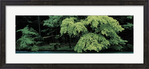 Framed Kamikochi Nagano Japan Print
