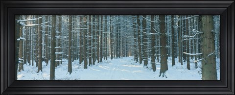 Framed Germany Print