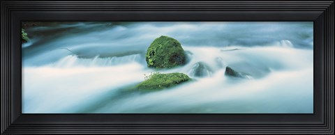 Framed Oirase River Aomori Japan Print