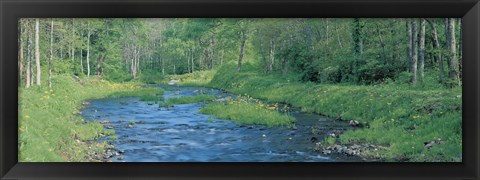 Framed Nagase River Bandai Kogen Fukushima Japan Print