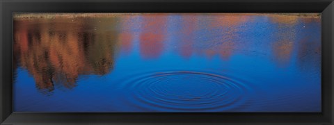 Framed Trees Reflecting in the Water, Laurentide, Quebec, Canada Print