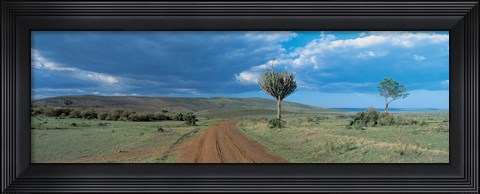 Framed Masai Mara Game Reserve Kenya Print
