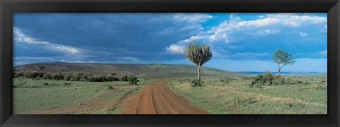 Framed Masai Mara Game Reserve Kenya Print