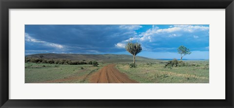 Framed Masai Mara Game Reserve Kenya Print