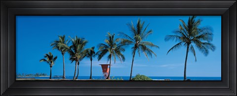 Framed Palm trees Oahu HI USA Print