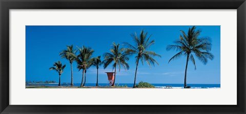 Framed Palm trees Oahu HI USA Print