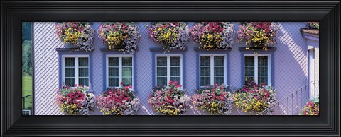 Framed Purple House with Flowers, Appenzell Switzerland Print